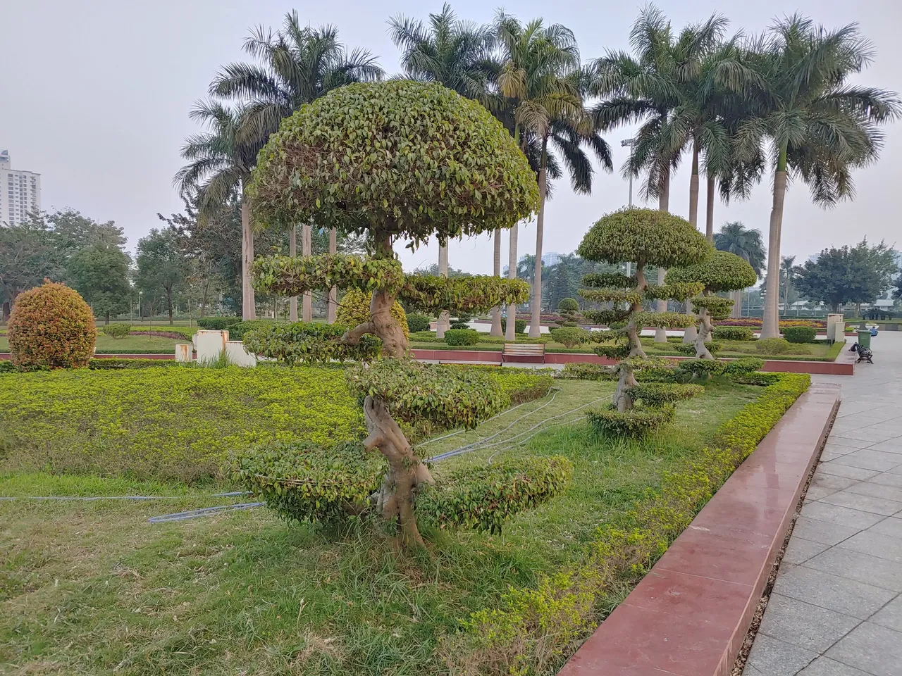 0104221651_HDR.jpg