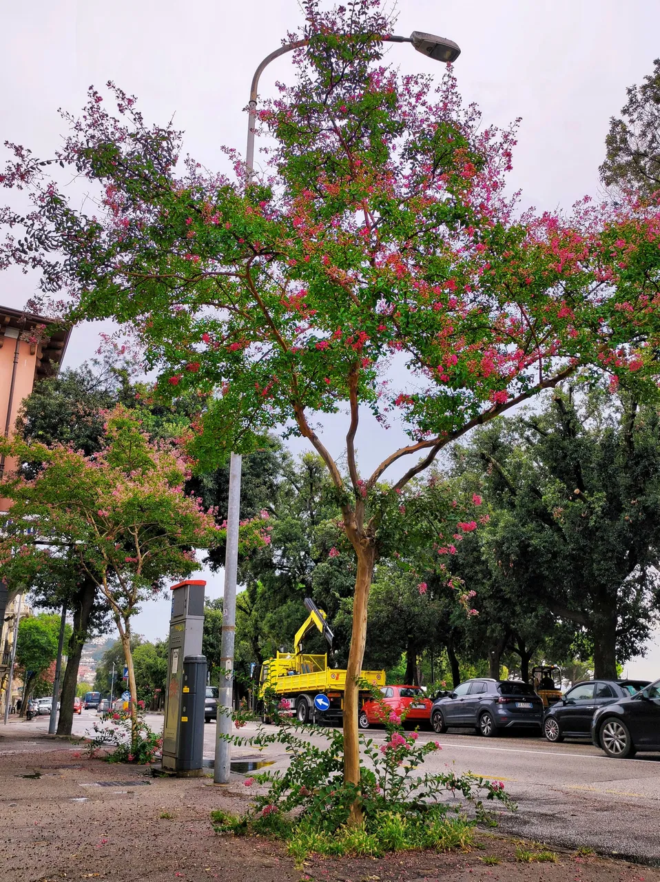 MEITU_20250124_221622123.jpg