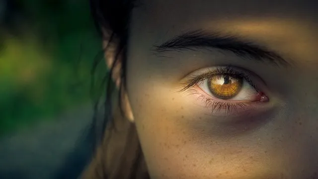 eye-2683414_640.jpg