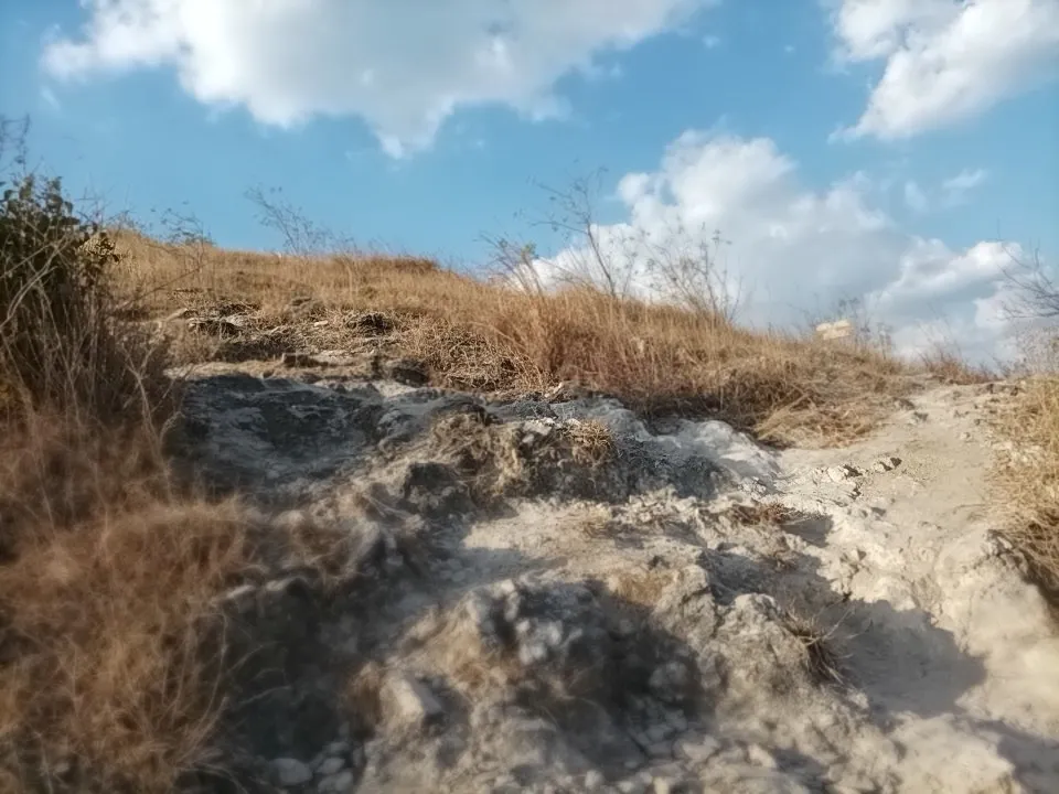 p02.jpg
