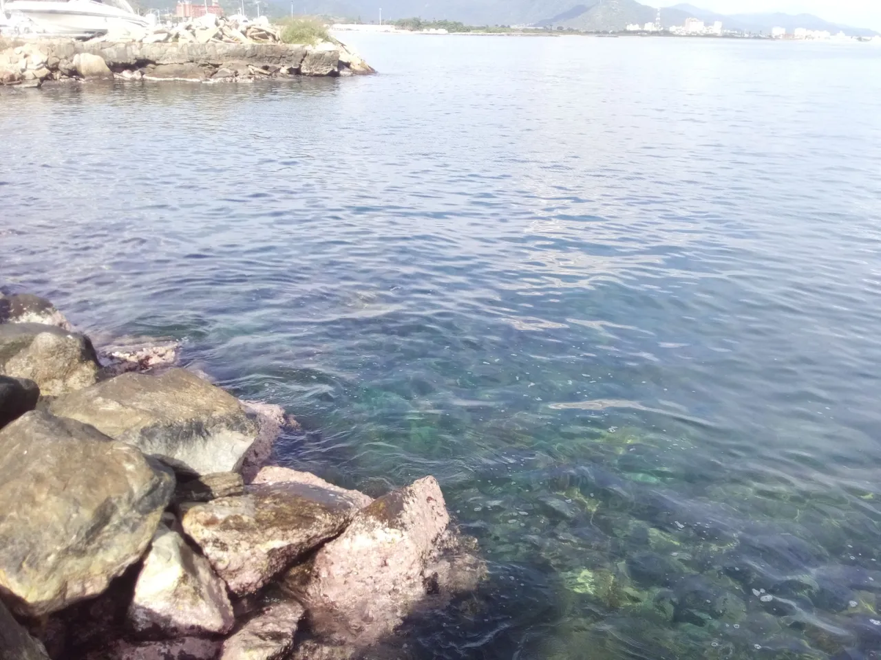 IMG_20210627_085417_641.jpg
