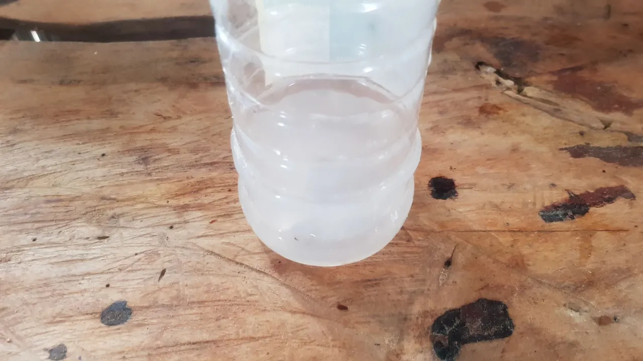 20231019_083705.jpg