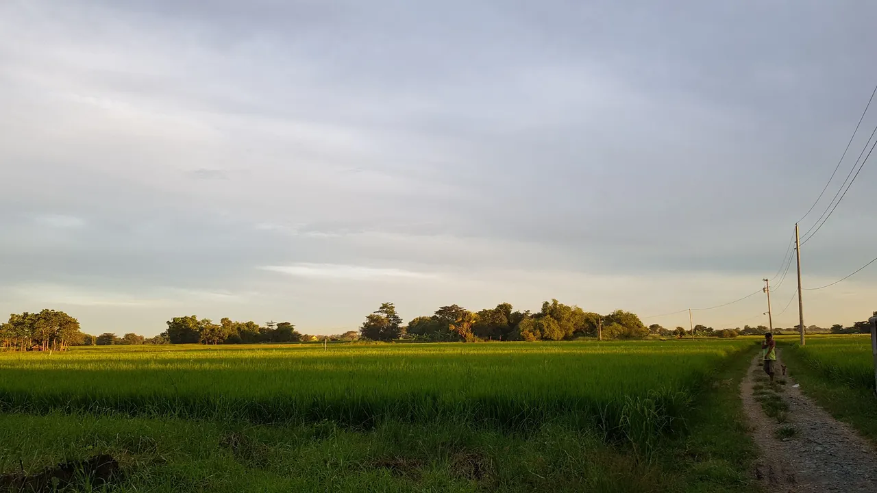 20210826_175818.jpg