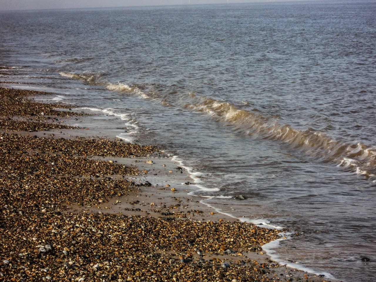 DSC01301_edited.jpg