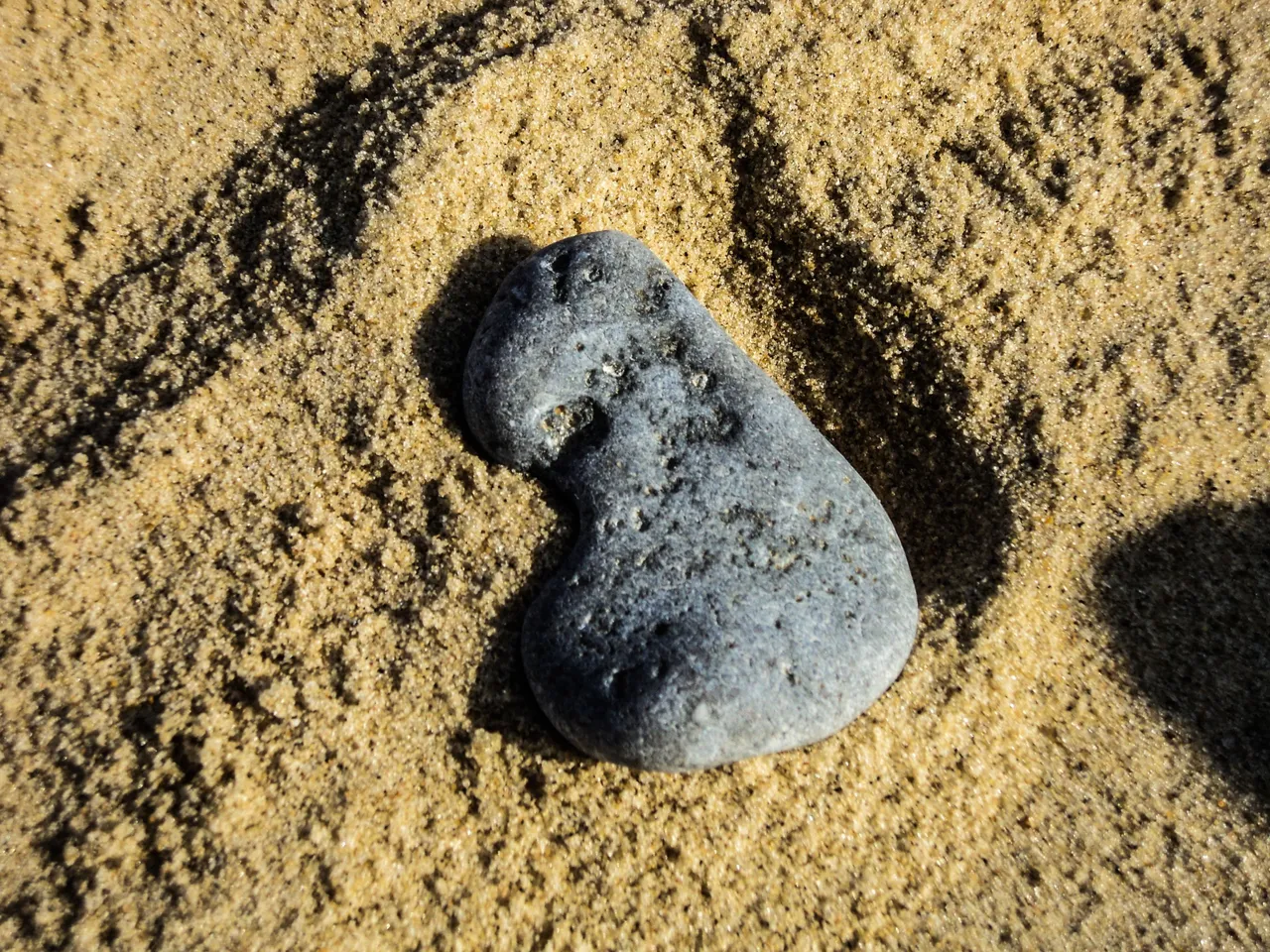 DSC01295_edited.jpg