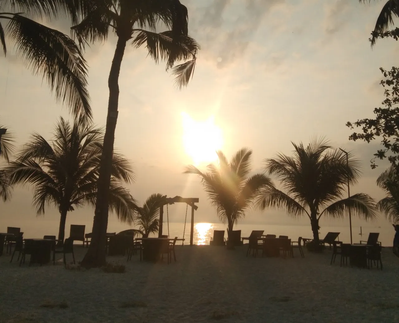 IMG_20240306_122152.jpg