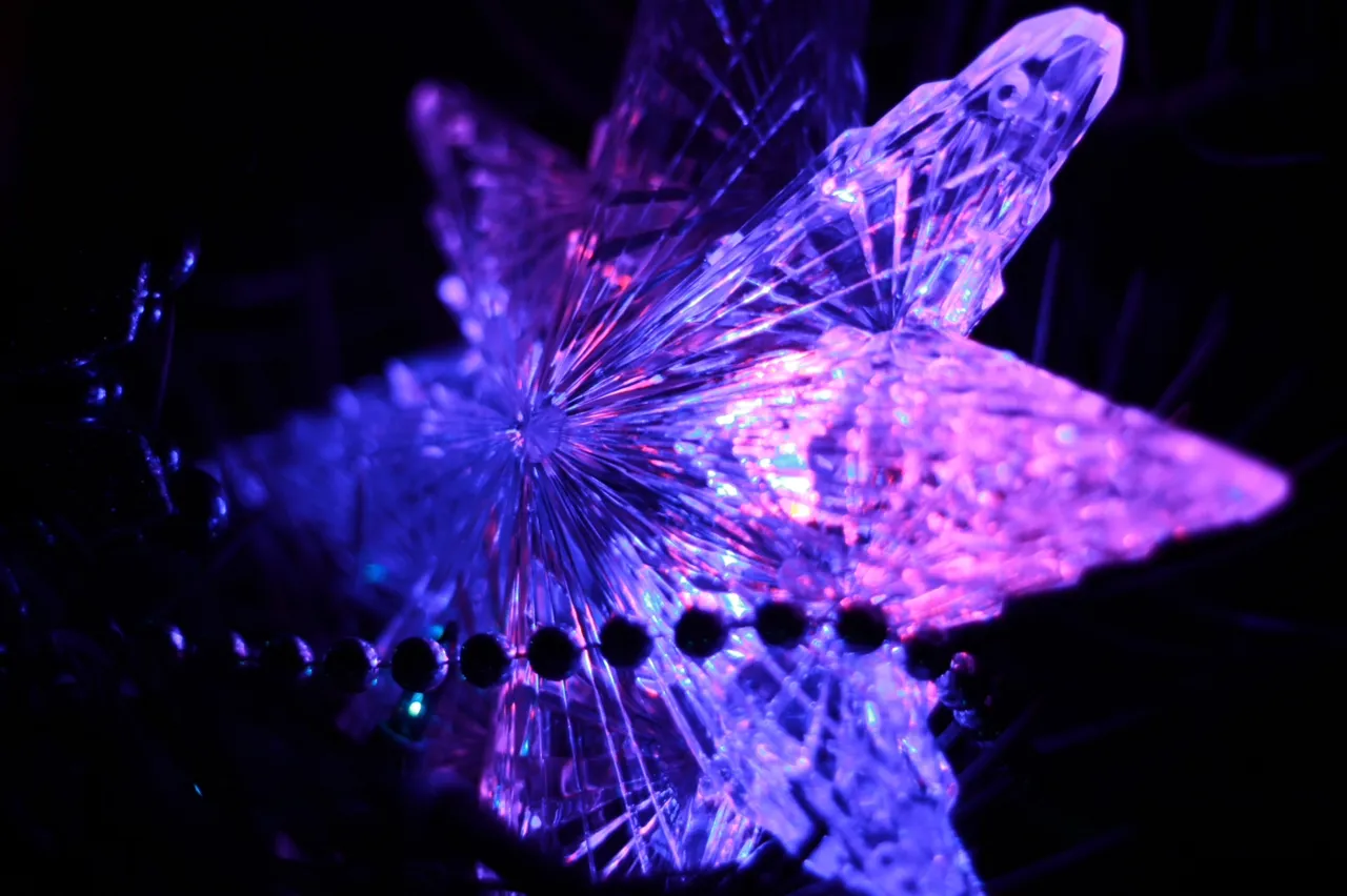 50581F93-1F6C-43FE-BA6C-124054CA2008.jpeg