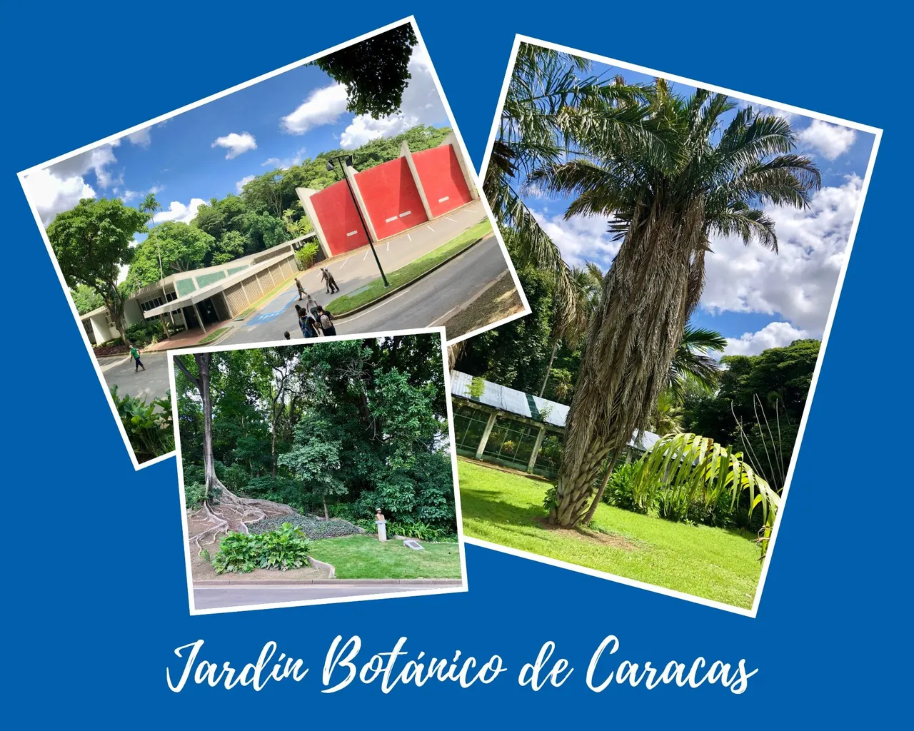 JardinBotanicoCaracas.jpg