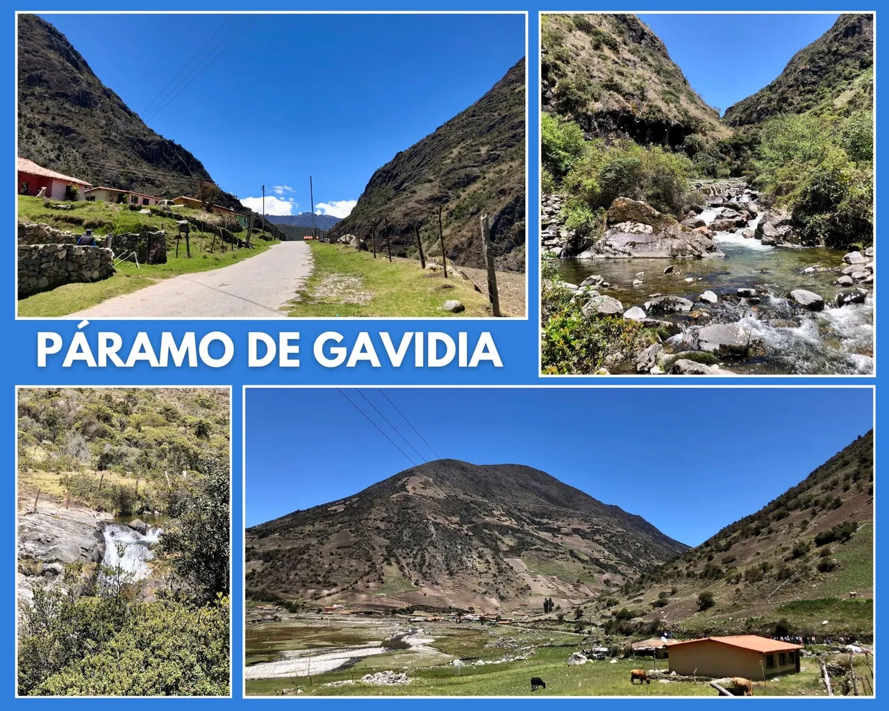 GavidiaAbril2025.jpg