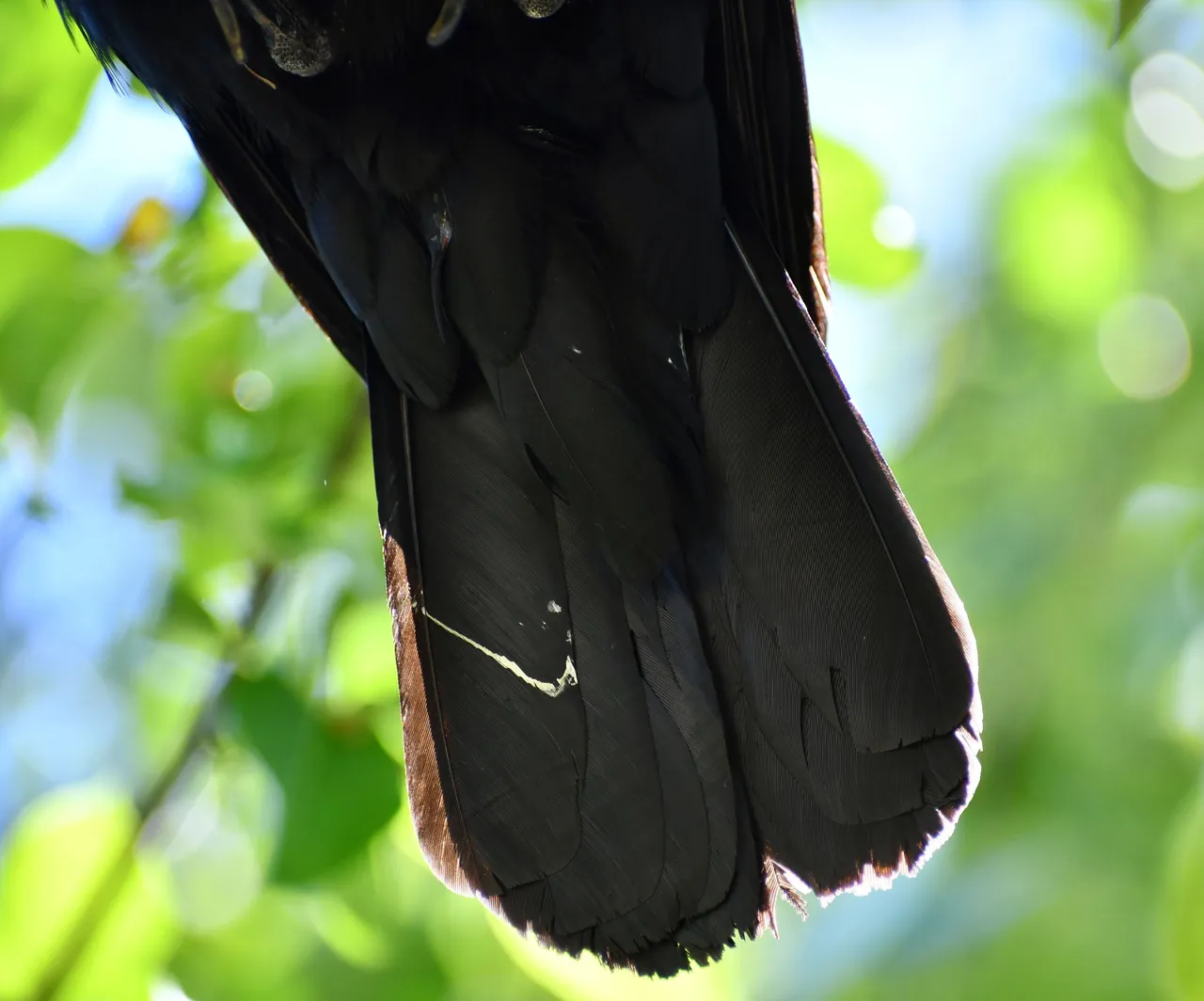 DSC_5947.jpg