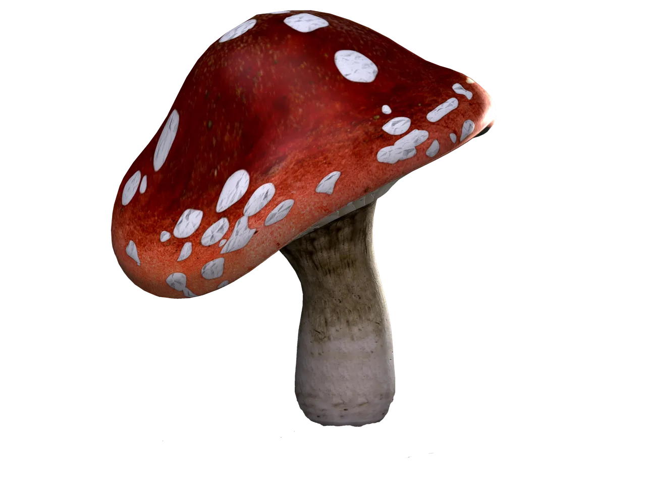 toadstool-1722296.png