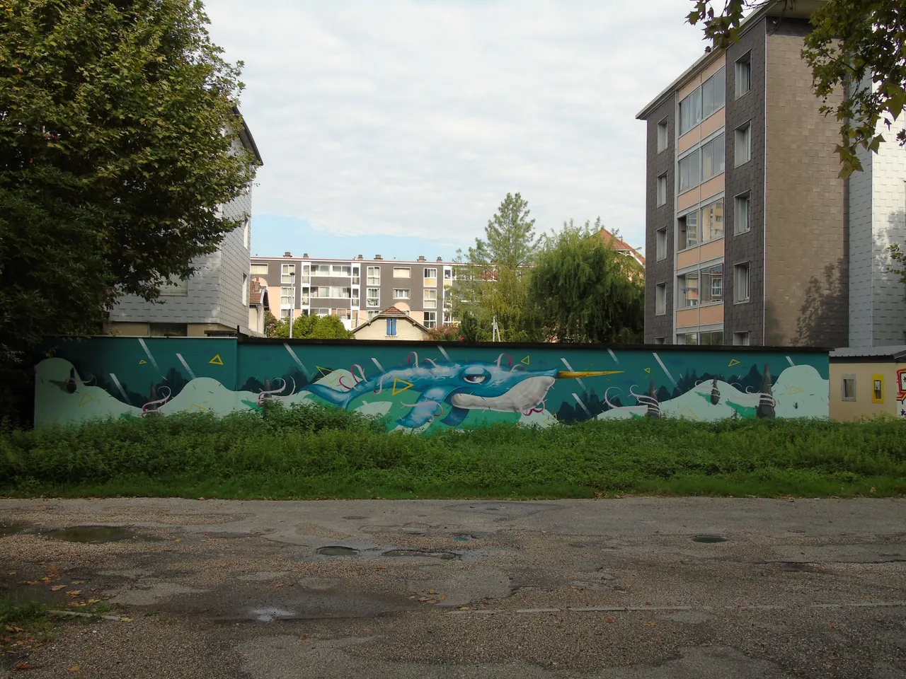 1111baleine (3).JPG