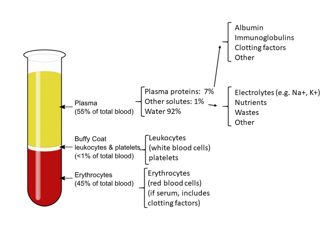 Components_of_blood.png