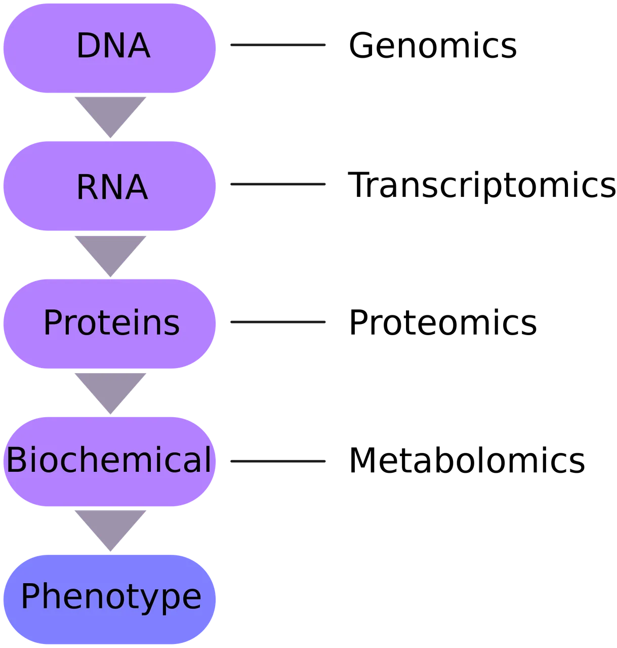 2000px-Omics-en.svg.png