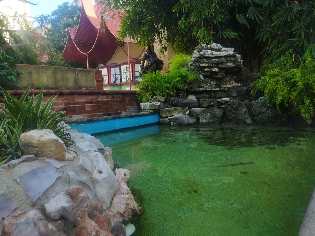 IMG_20240810_083645.jpg