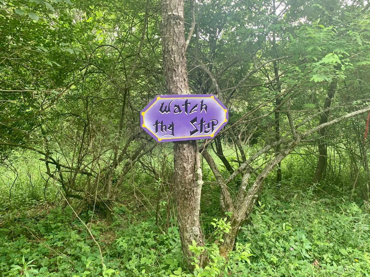 IMG_9167.jpeg