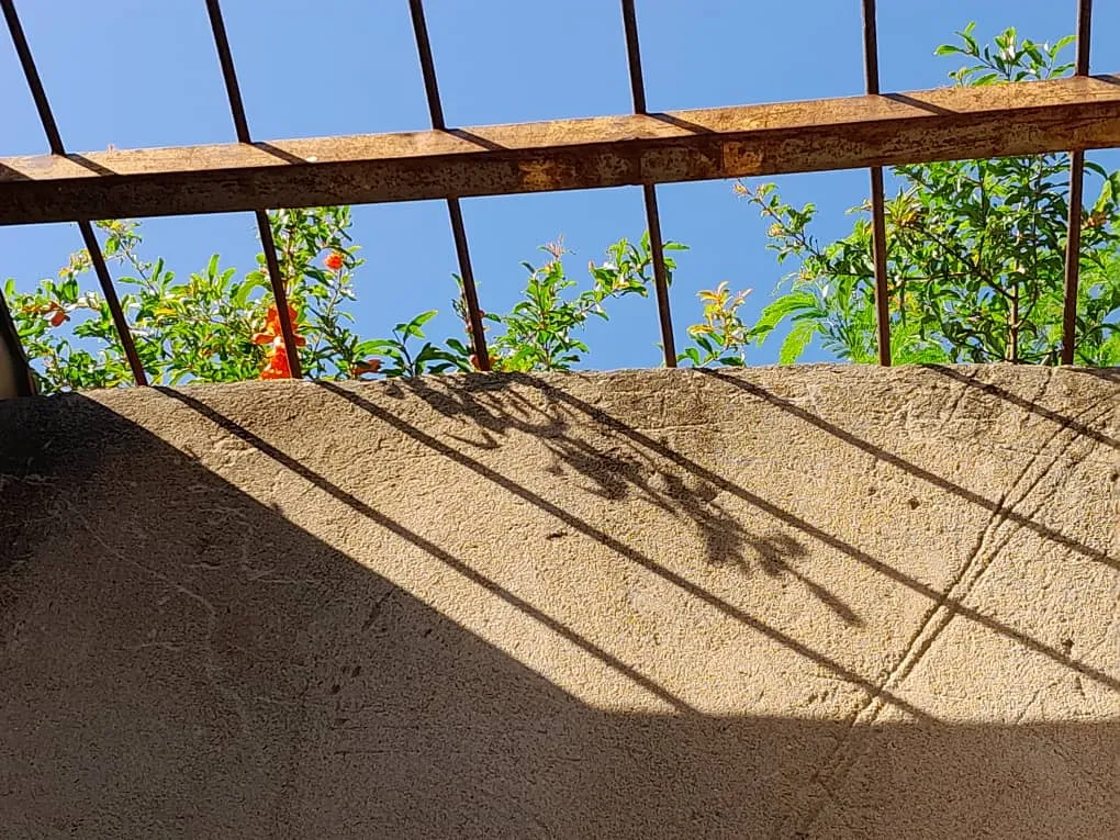 1001350975.jpg
