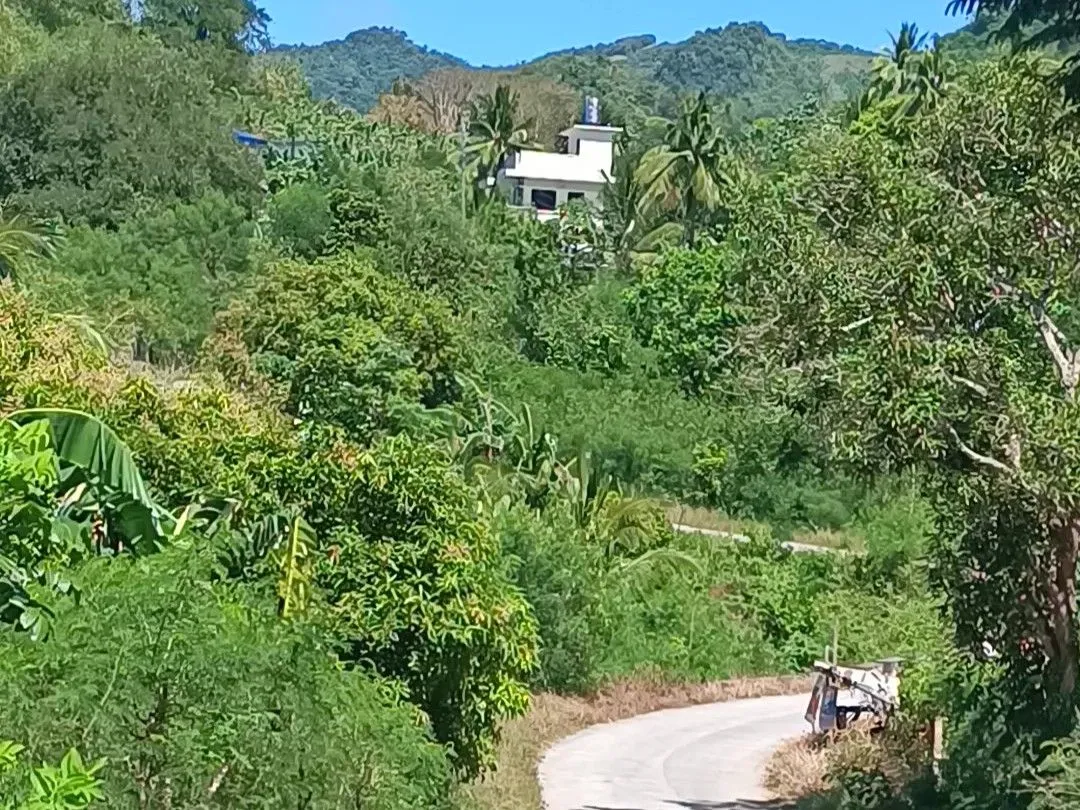 VID_20250326_135839 - frame at 0m0s.jpg