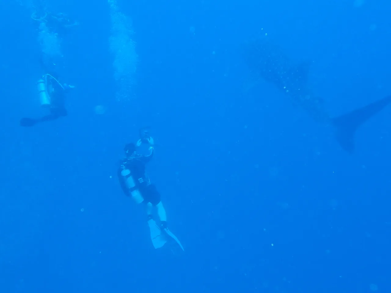 P5120027.JPG