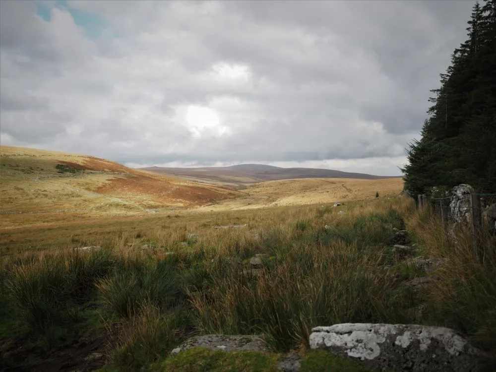 PA150030.jpg