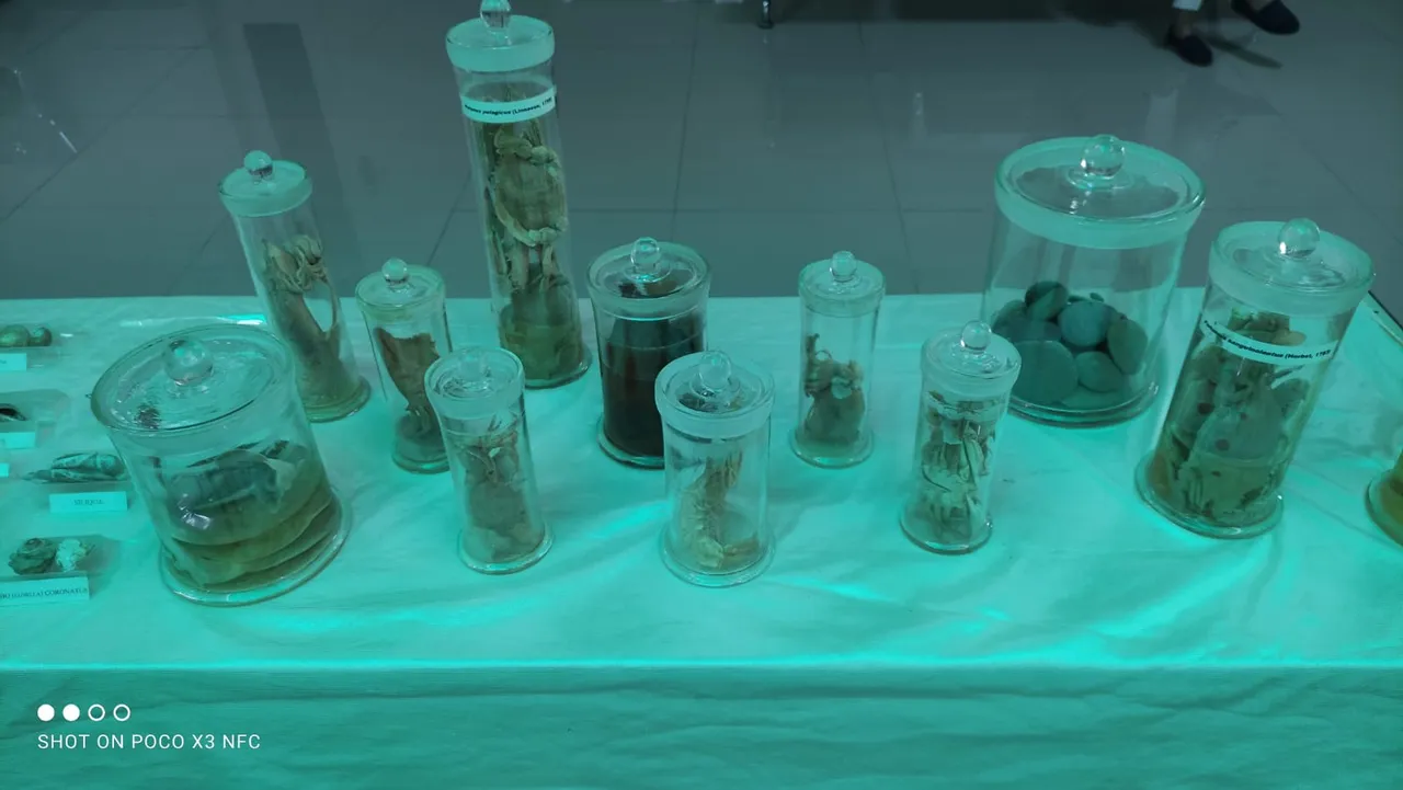 collect-in-jars.jpg