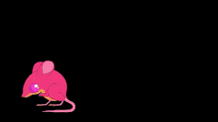 ezgif.com-gif-maker (19).gif