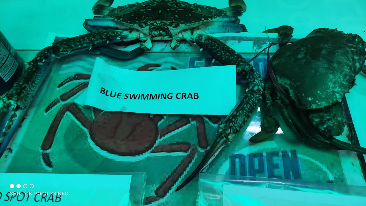 crab.jpg