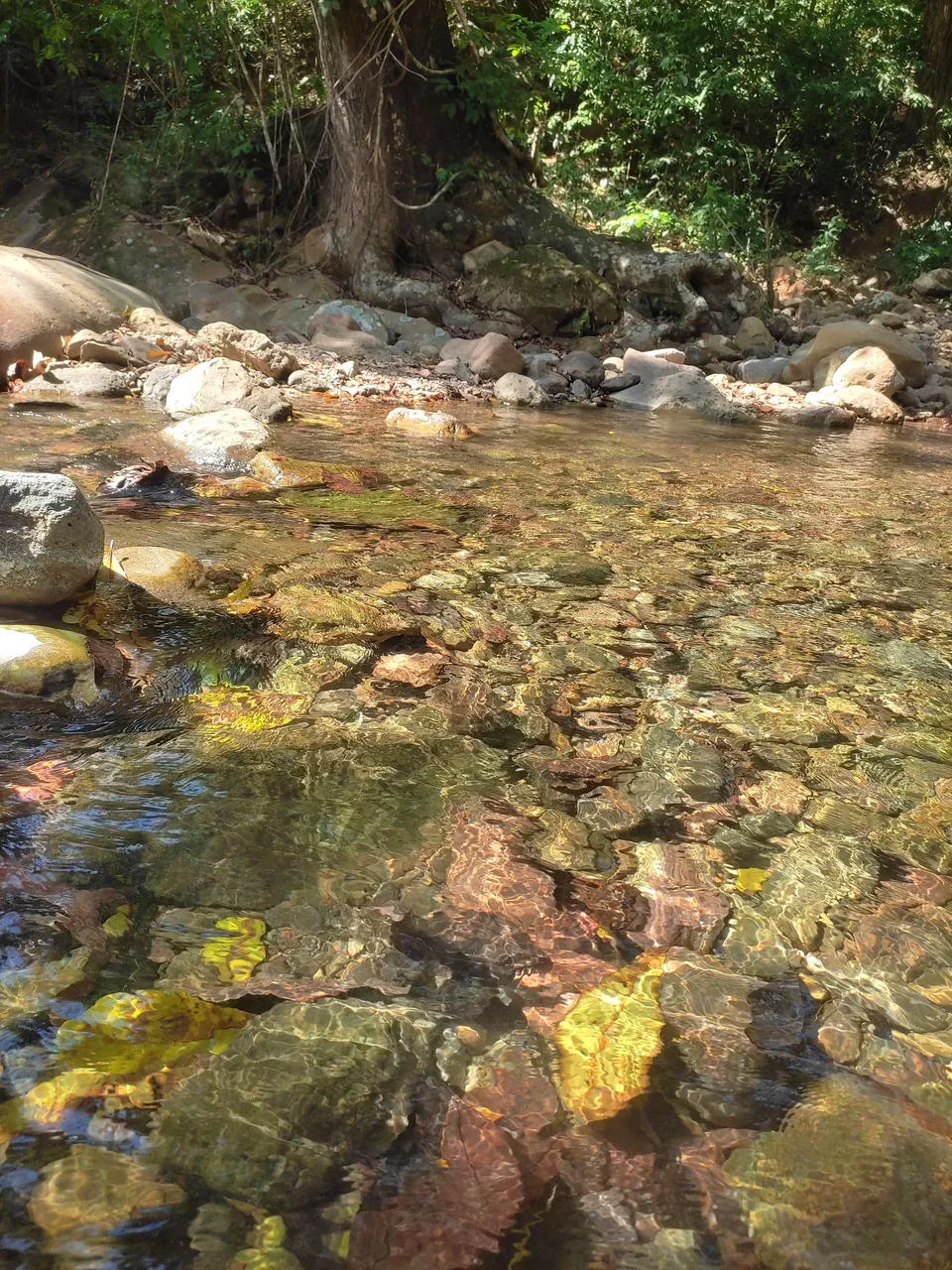 IMG_20240406_103559.jpg