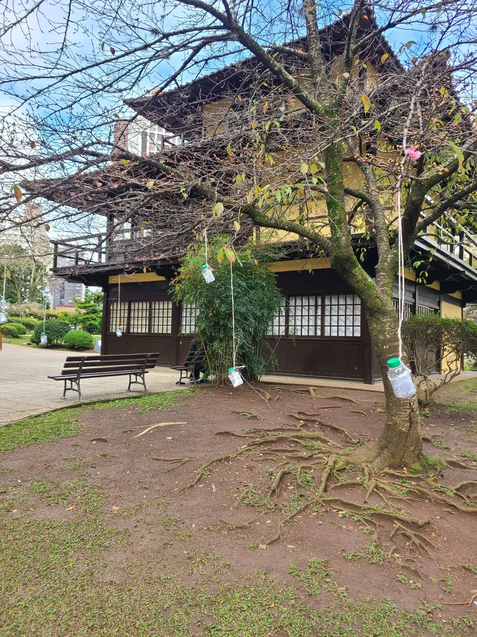 20250704_145341.jpg