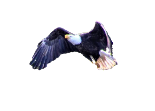 03c6d304_a6dd_4439_b7ab_69ae5bd68937.png