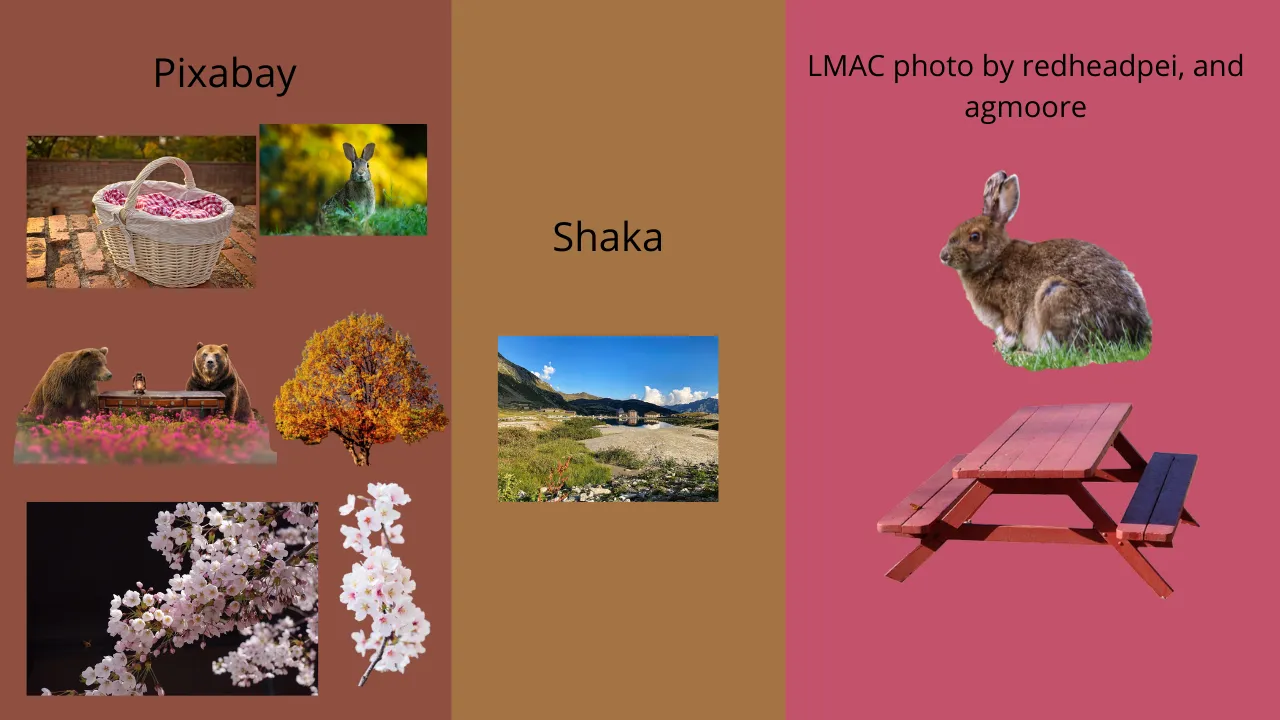 Love Birds (39).png