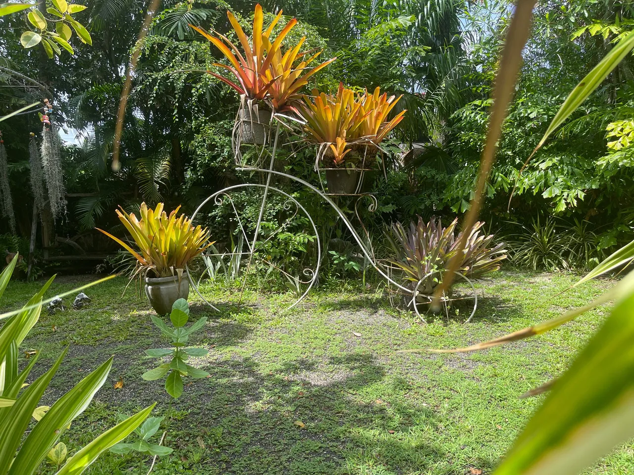 gardens21.jpg