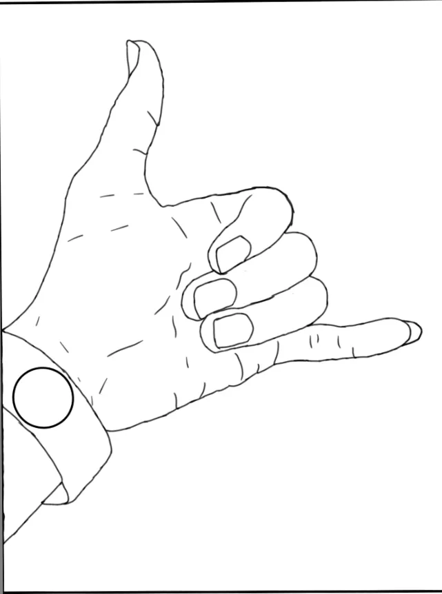 1000068613.png