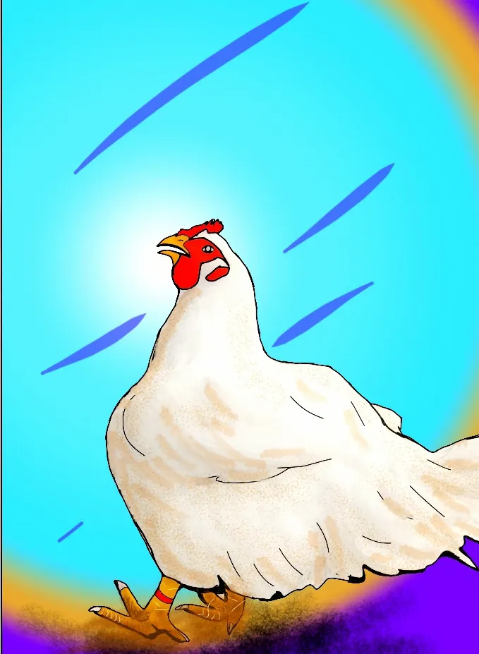 1000062794.png