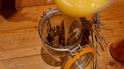Hnet-image (4).gif