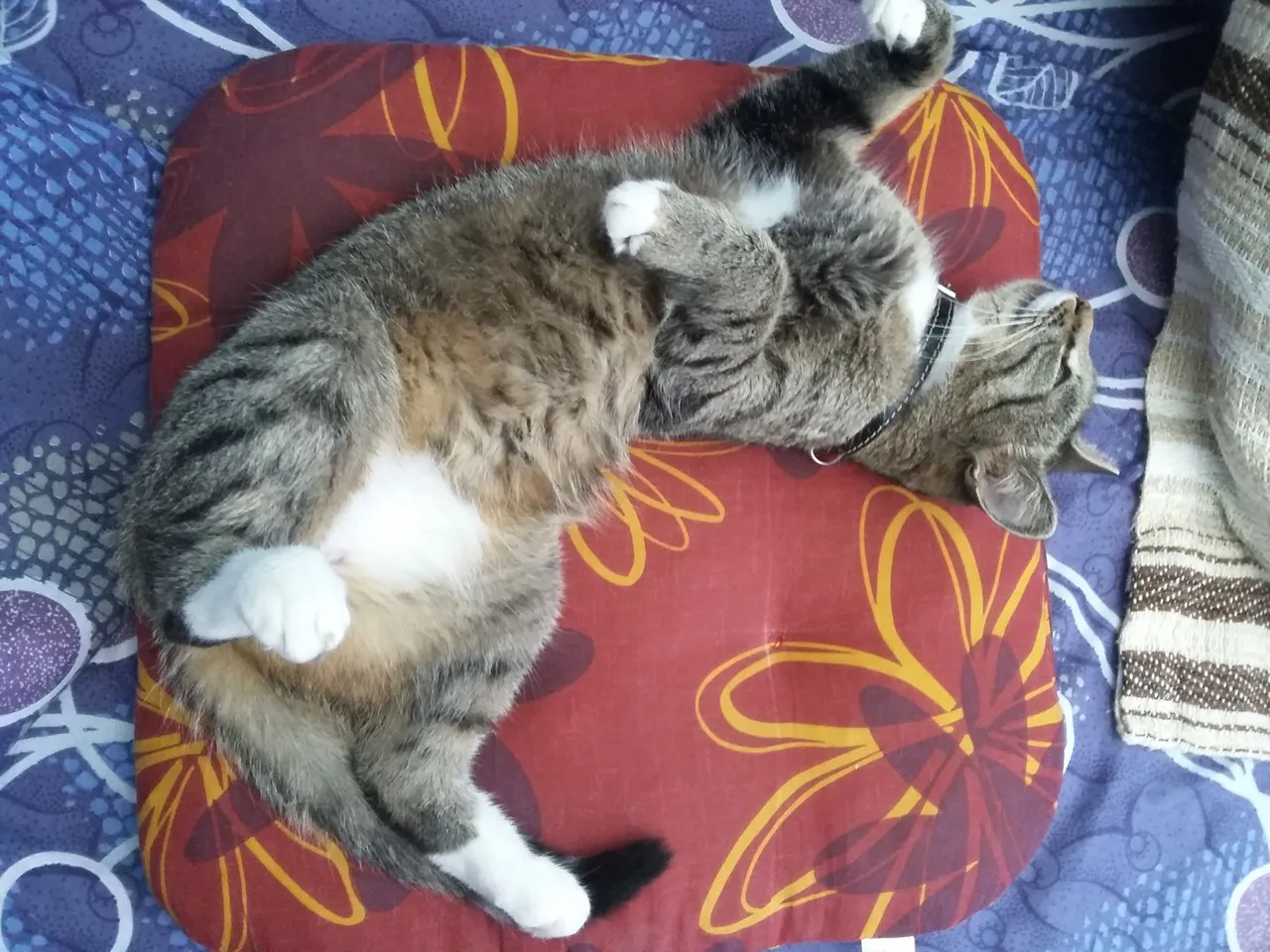 20160709_105058.jpg