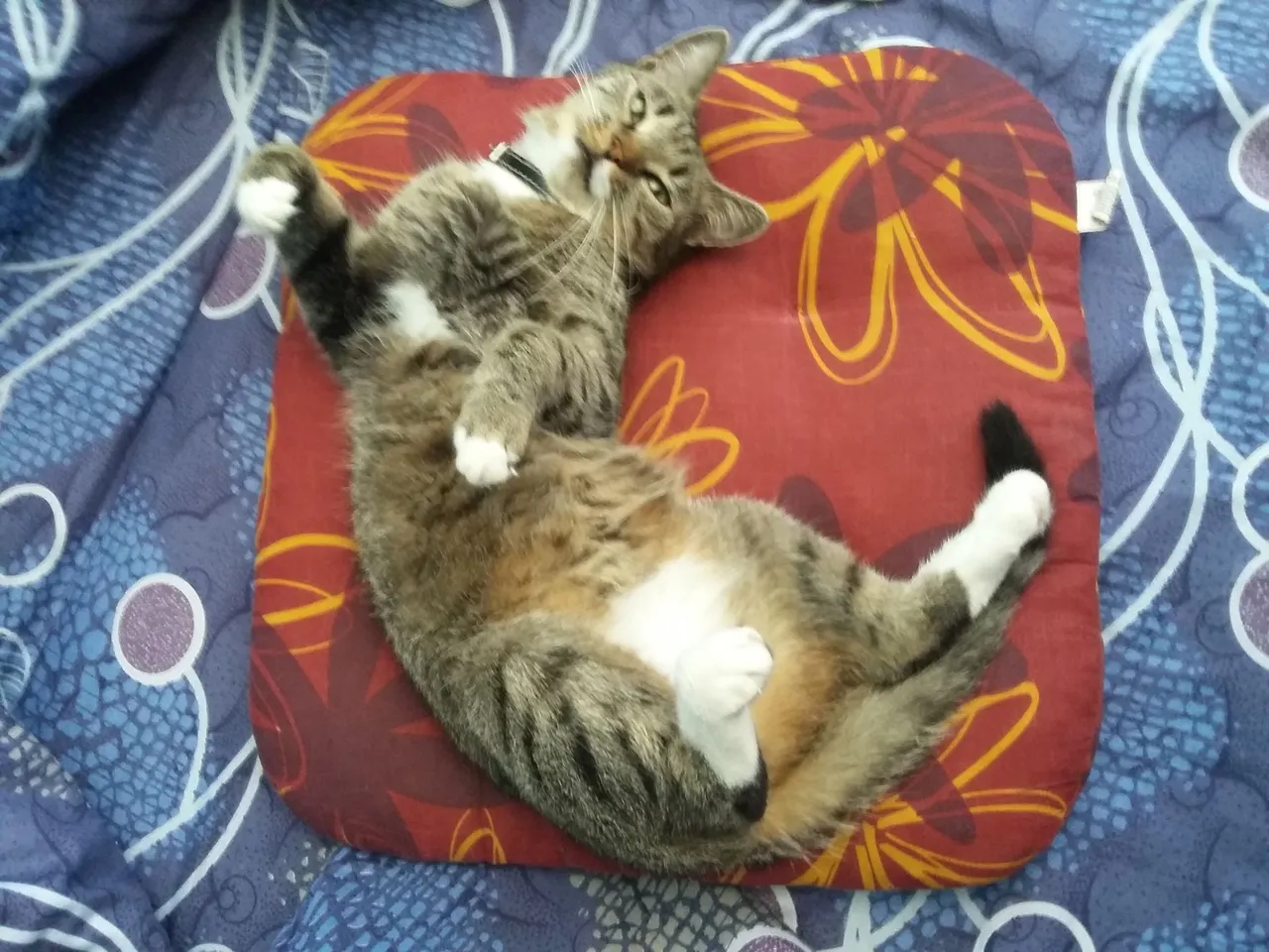 20160709_105112.jpg