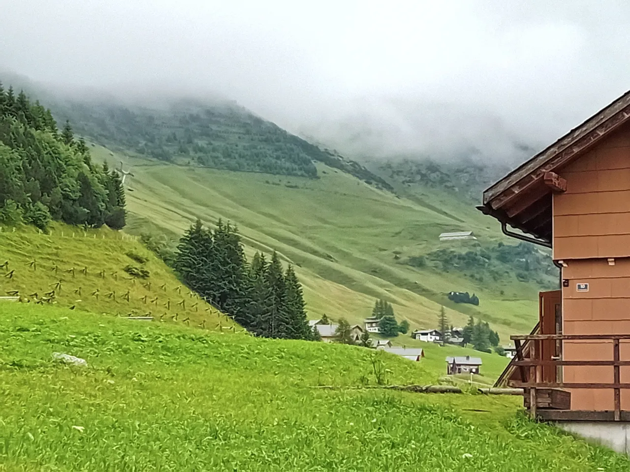 20230805_131014.jpg