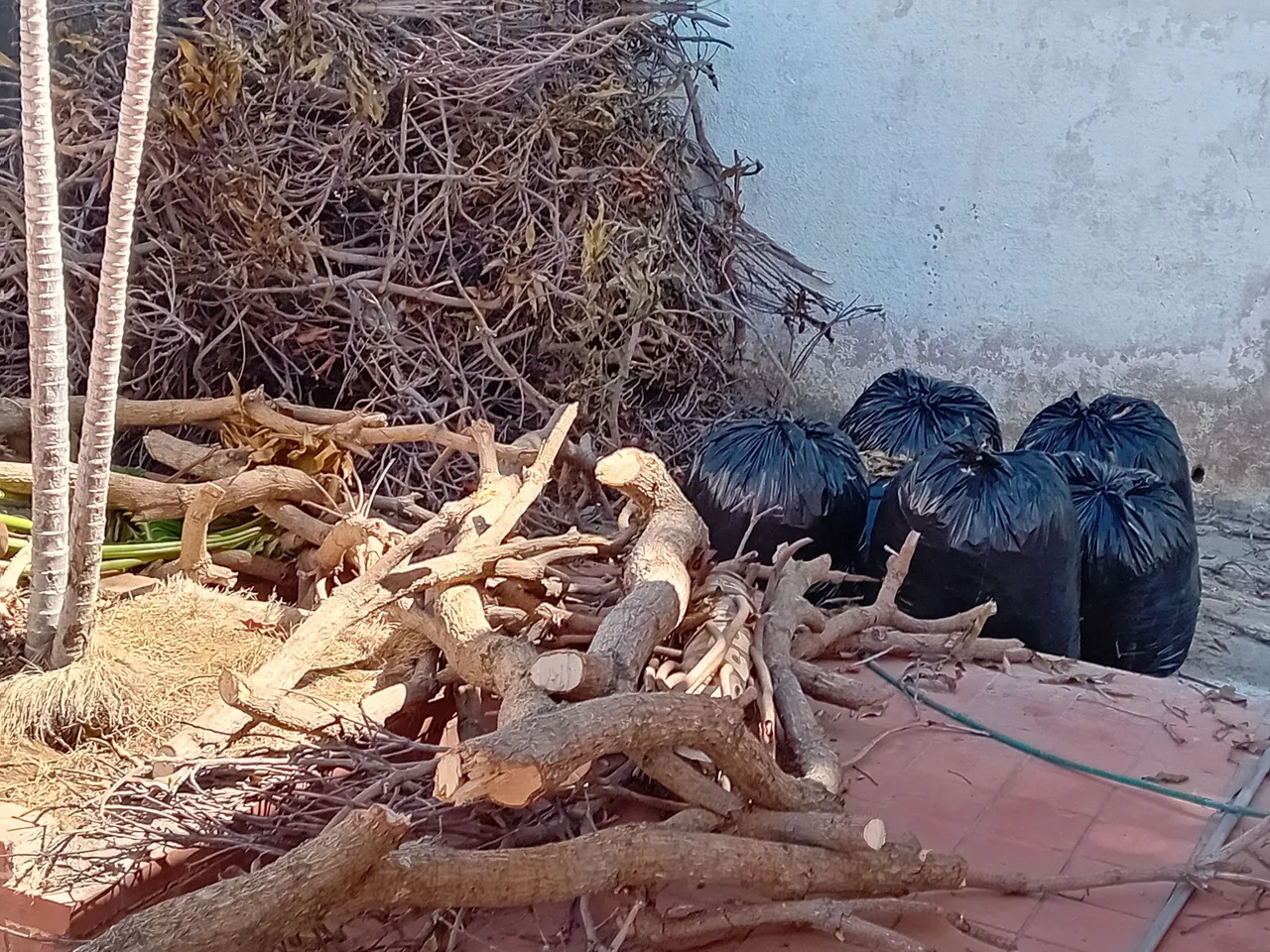 20250117_111310.jpg