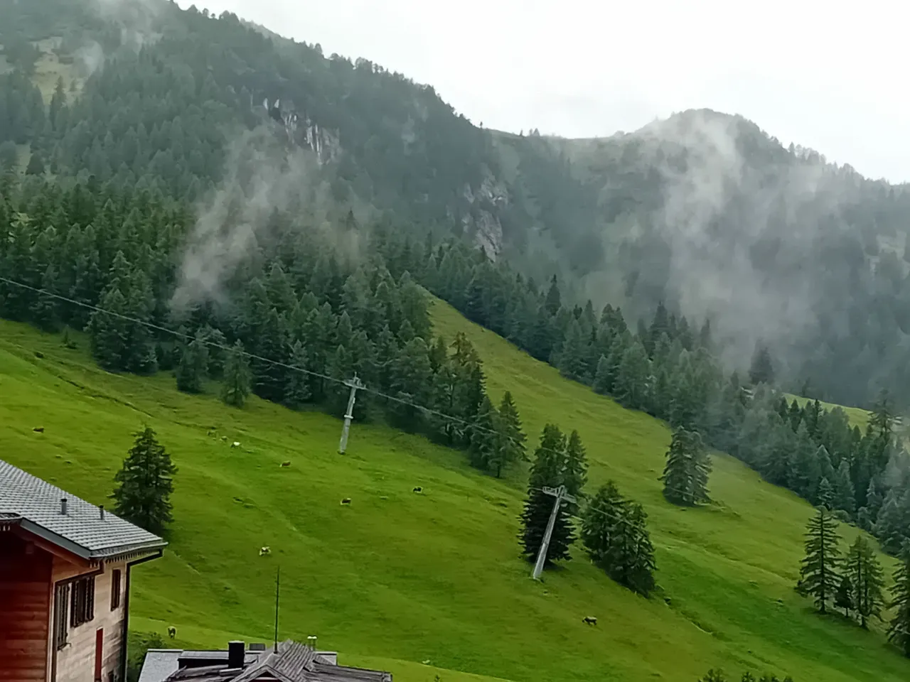 20230805_131655.jpg