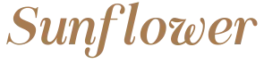 generatedtext (2).png