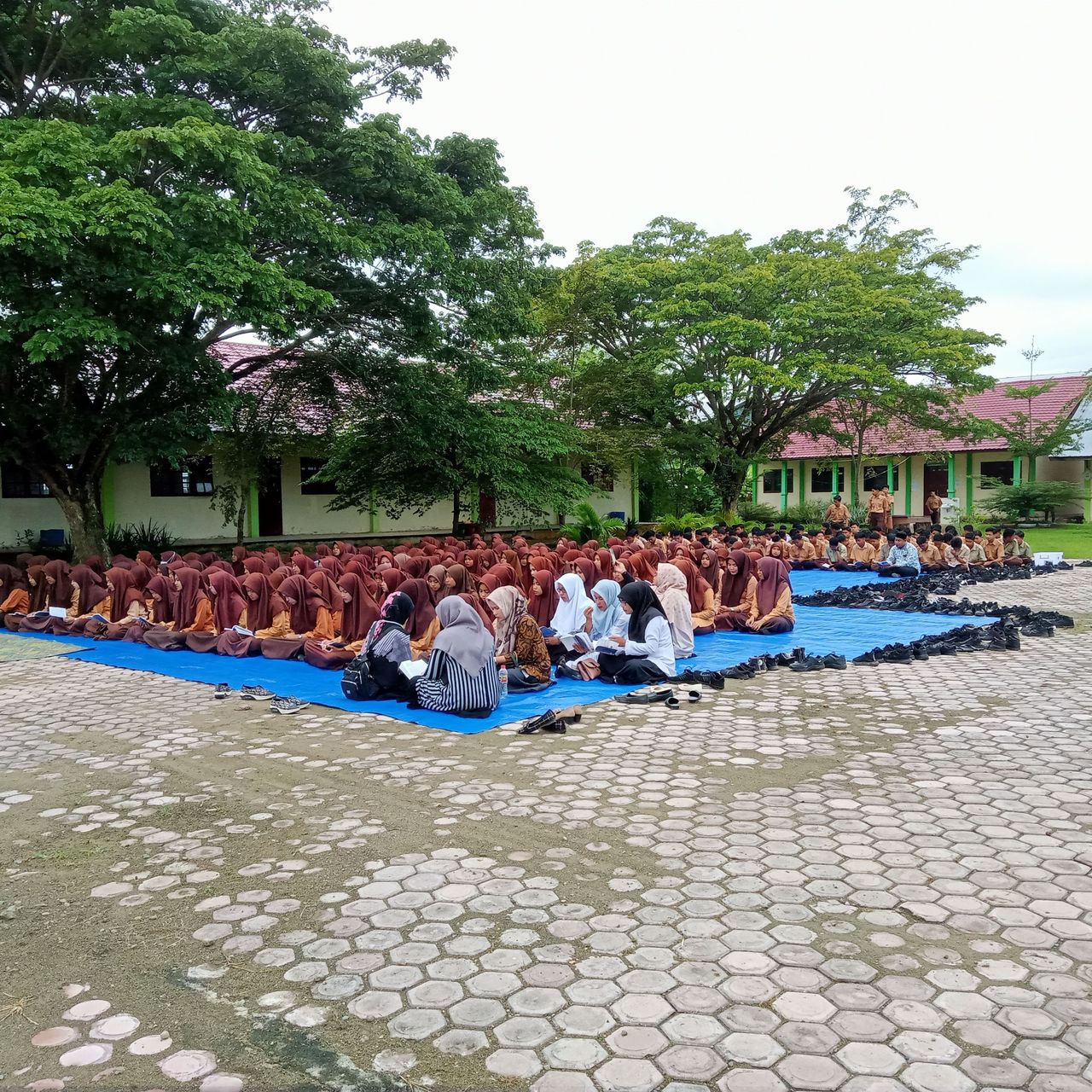 IMG20220729075833.jpg