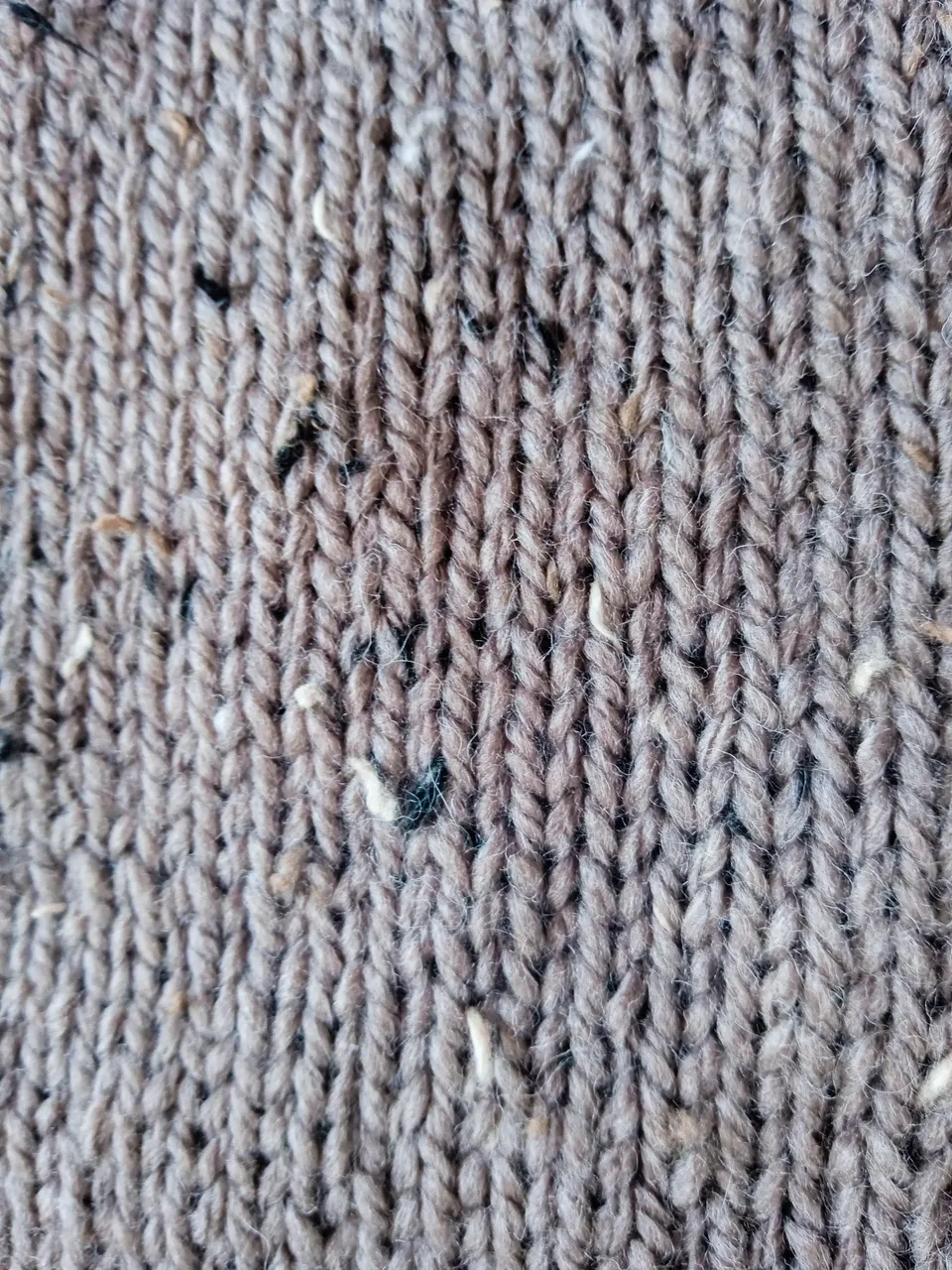 Forest Pullover-1-3.jpg