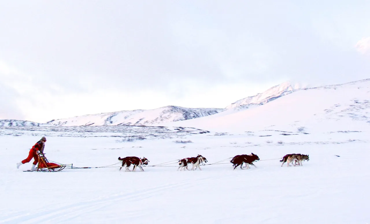 Snow-1-3.jpg