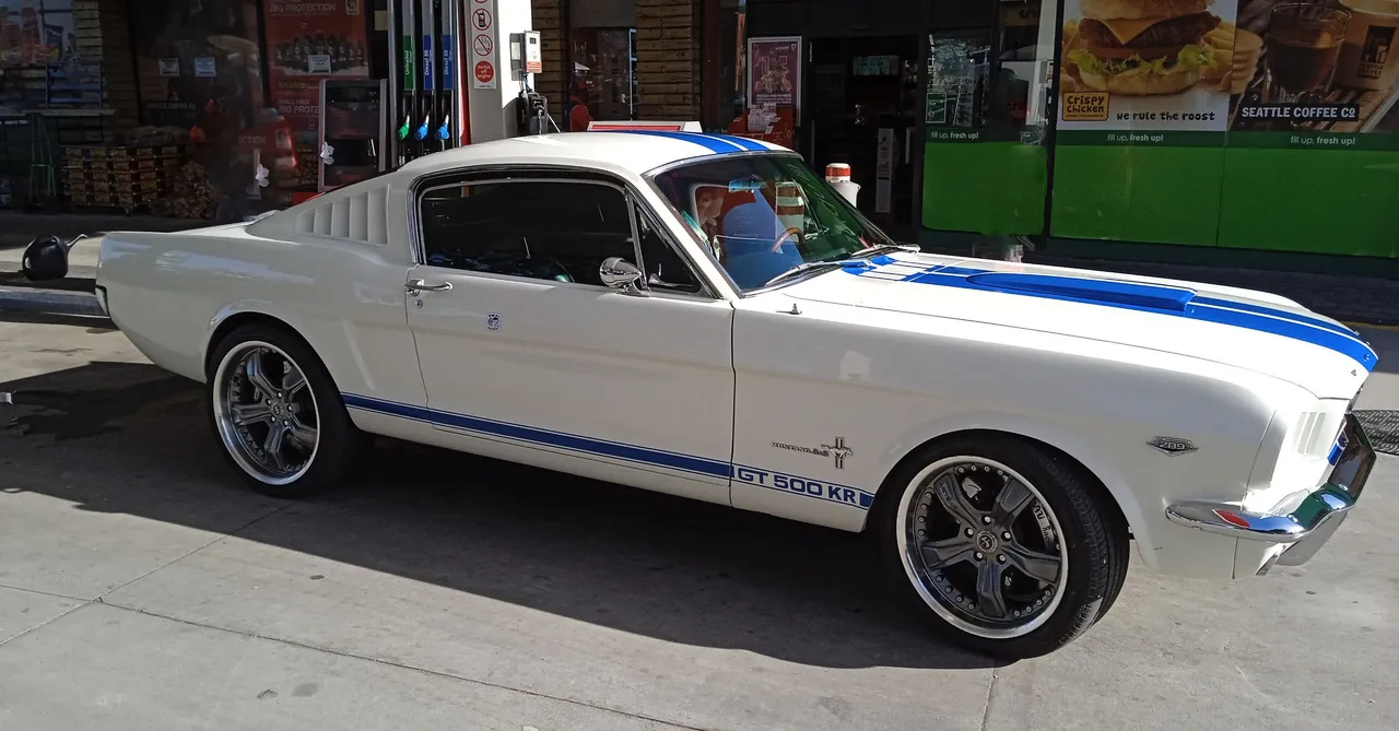 Mustang.jpg