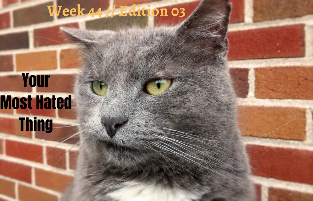 Week 44  Edition 03.png