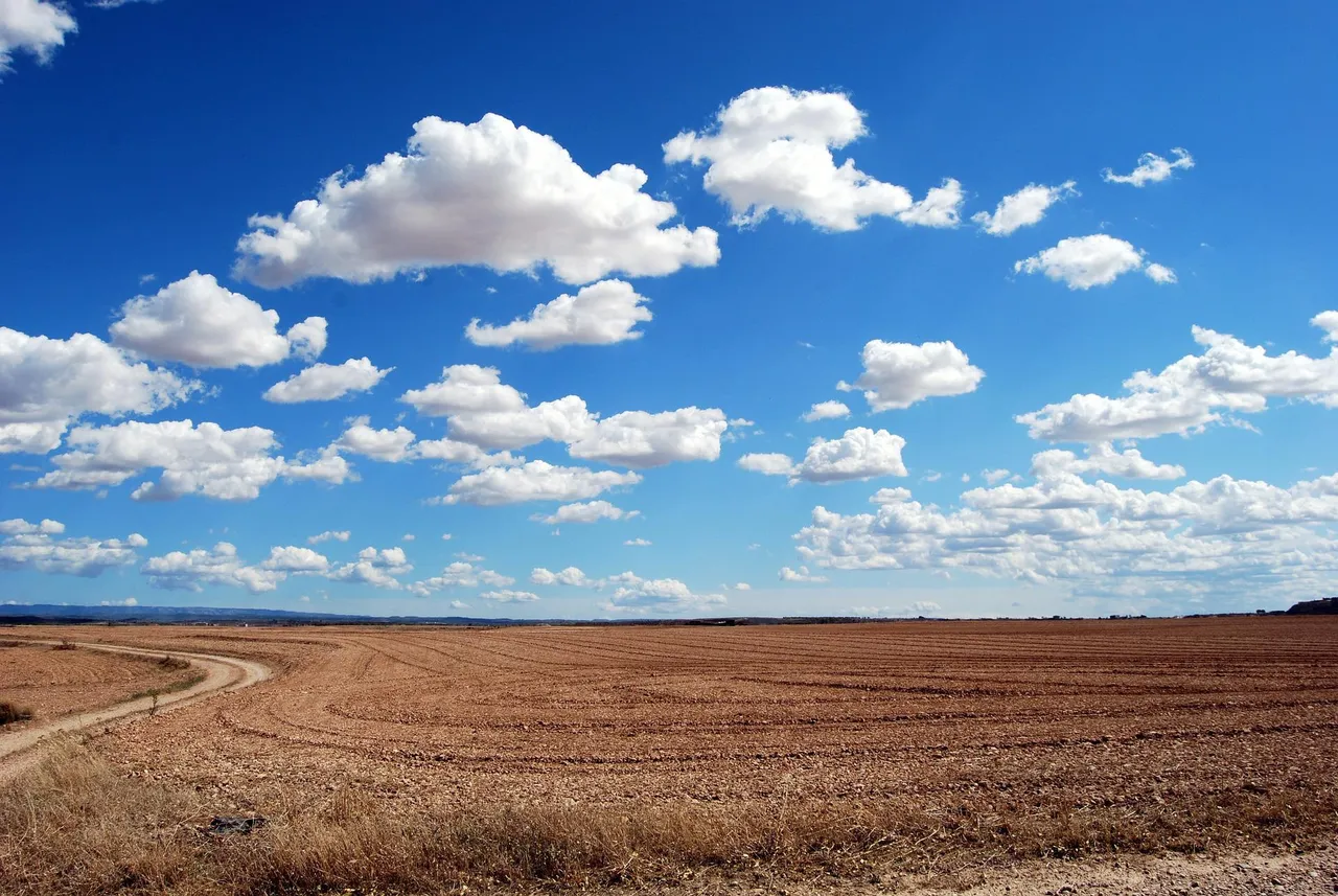 field-533541_1920.jpg