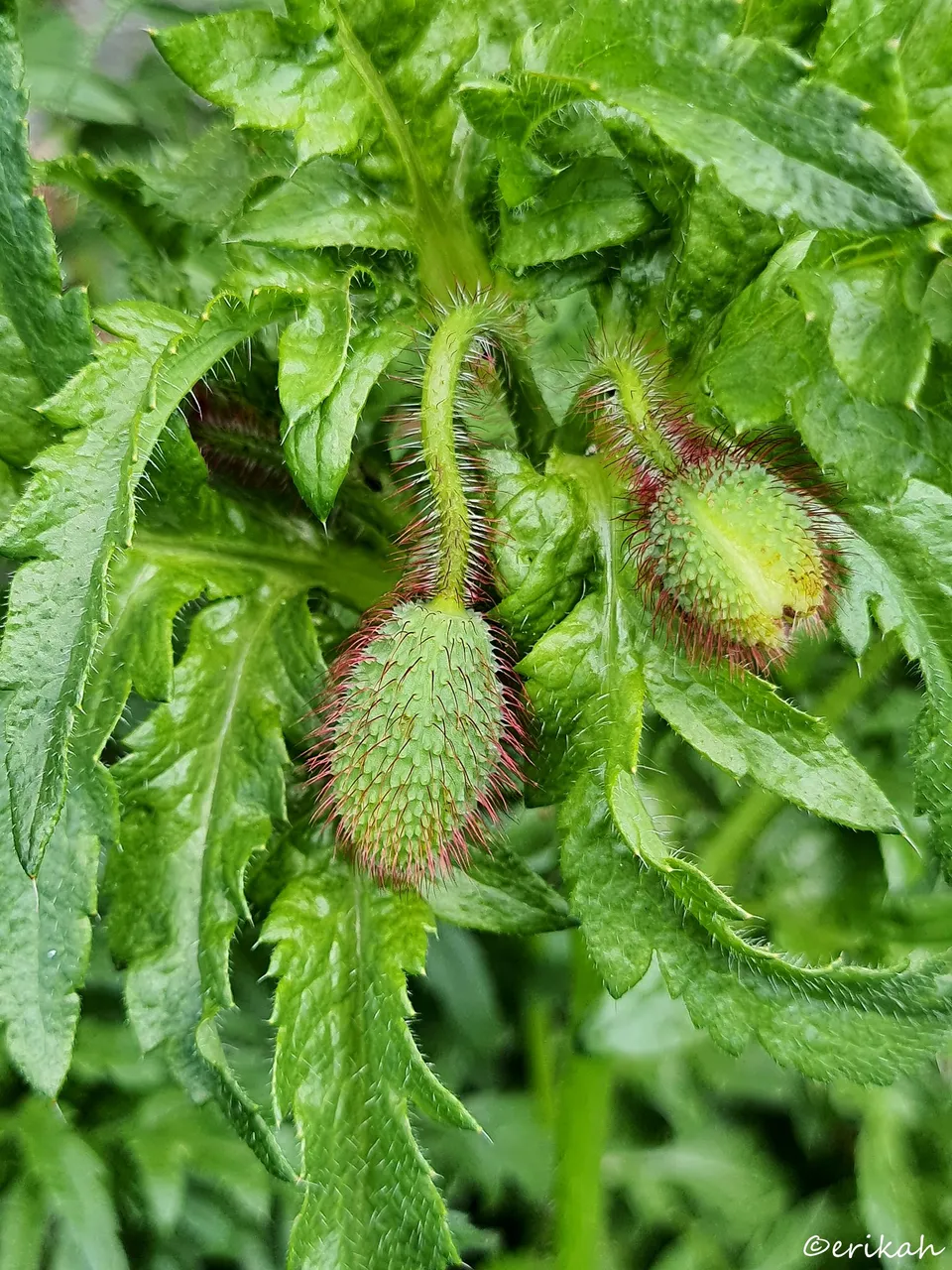 20230510_120825a.jpg