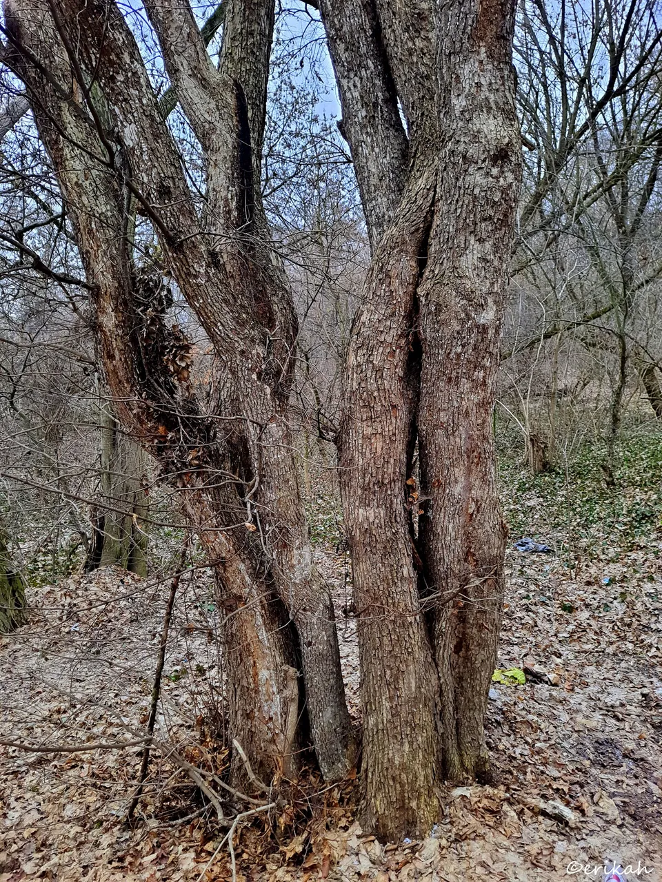 20220115_111006a.jpg