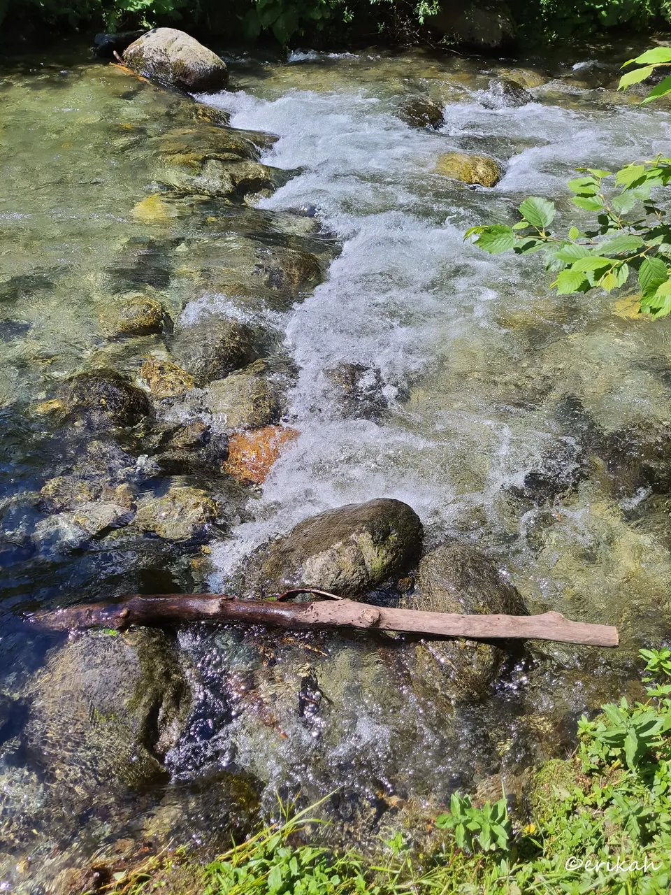 20230715_115407a.jpg
